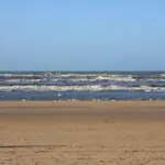 Thumbnail of 