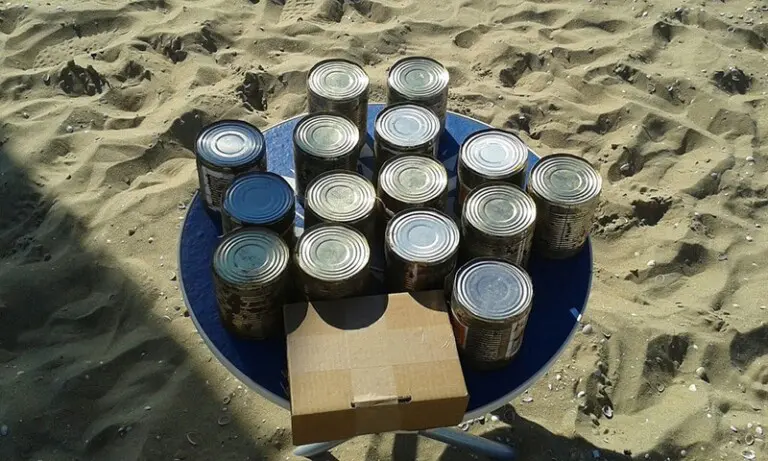 Expeditie Robinson in het park