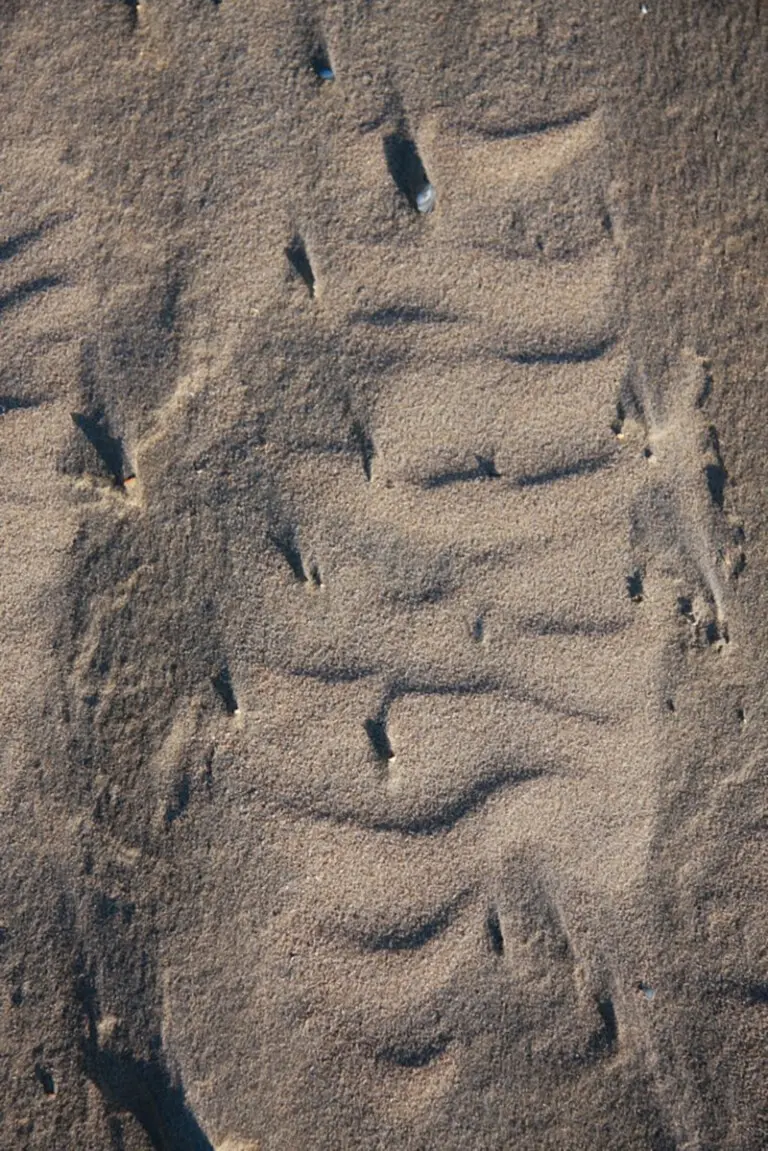 Expeditie Robinson in het park