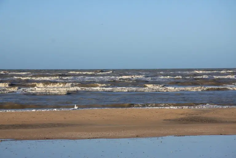 Expeditie Robinson in het park