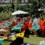 Thumbnail of http://bob%20ross%20workshop%20uitjes