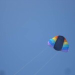 Thumbnail of 