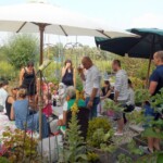 Thumbnail of http://picknicken,%20puur%20aalsmeer